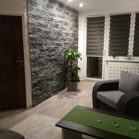 Apartament Morska Fala * 赫尔