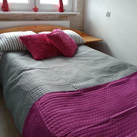 公寓 Apartament Morska Fala 赫尔